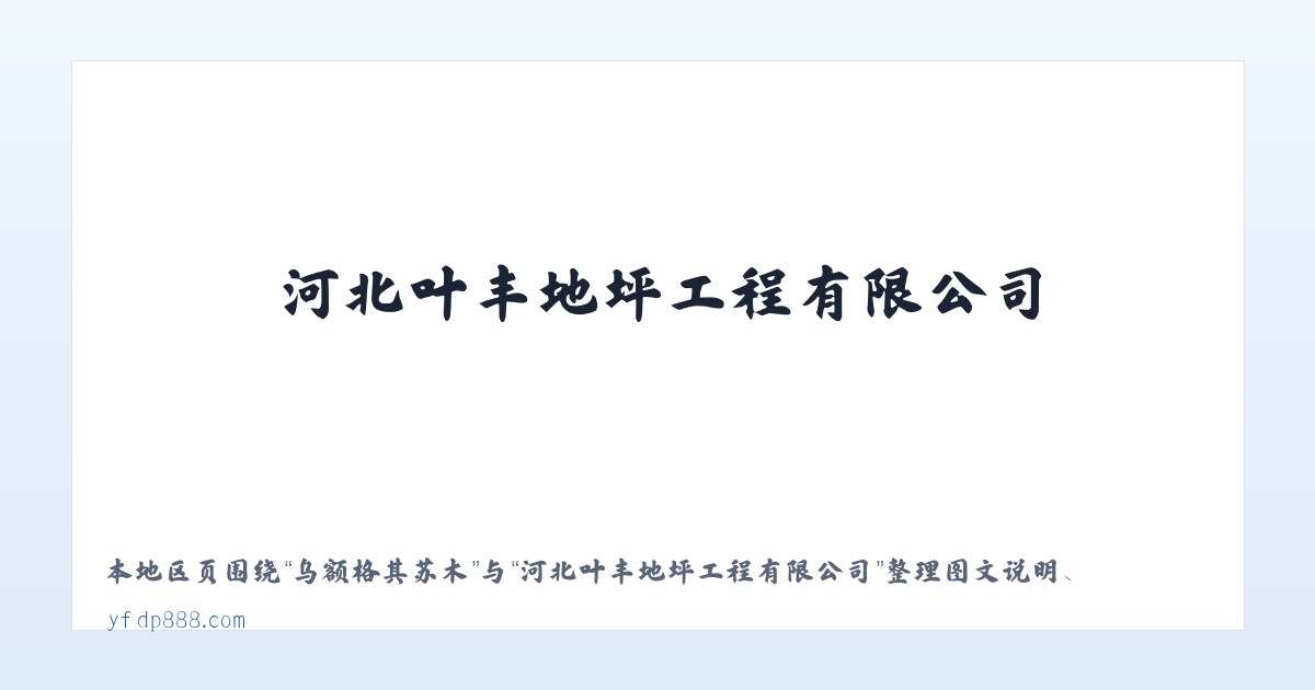 乌额格其苏木 - 河北叶丰地坪工程有限公司 主图